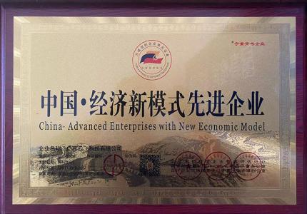 中国经济新模式先进企业